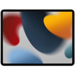 iPadOS